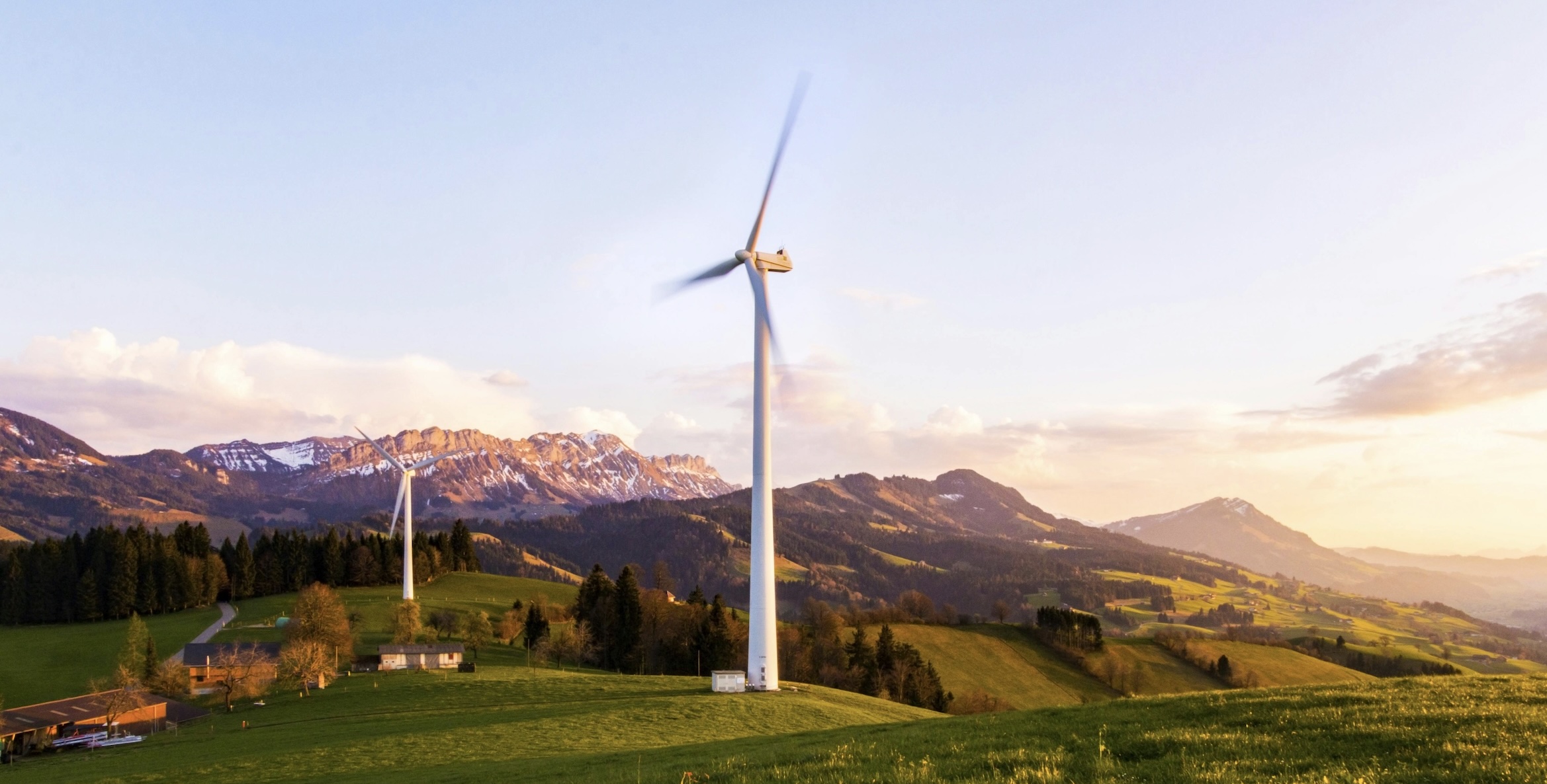 Go green or go home. Why your organisation needs to take sustainability seriously.