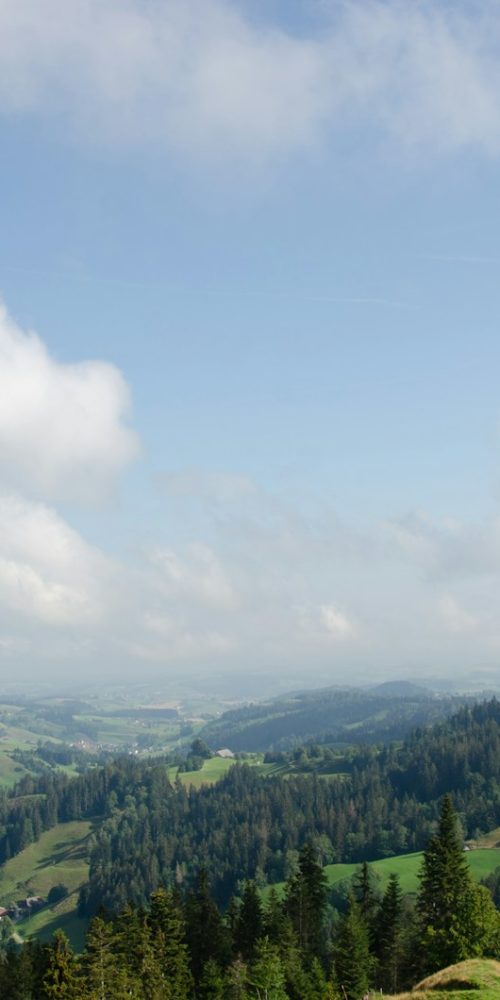 green trees on mountain under white clouds during daytime